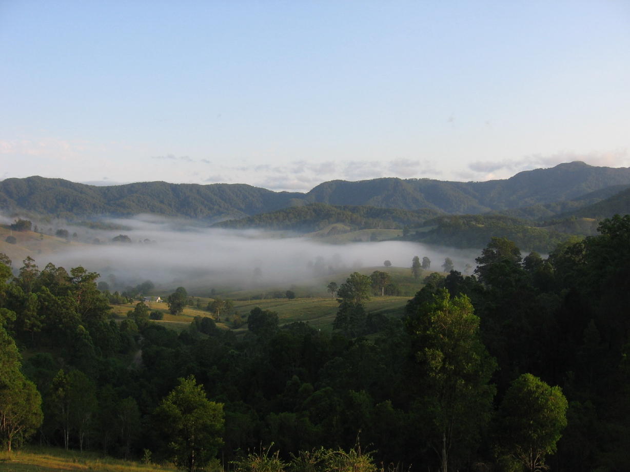 Mooral Creek in the mist.