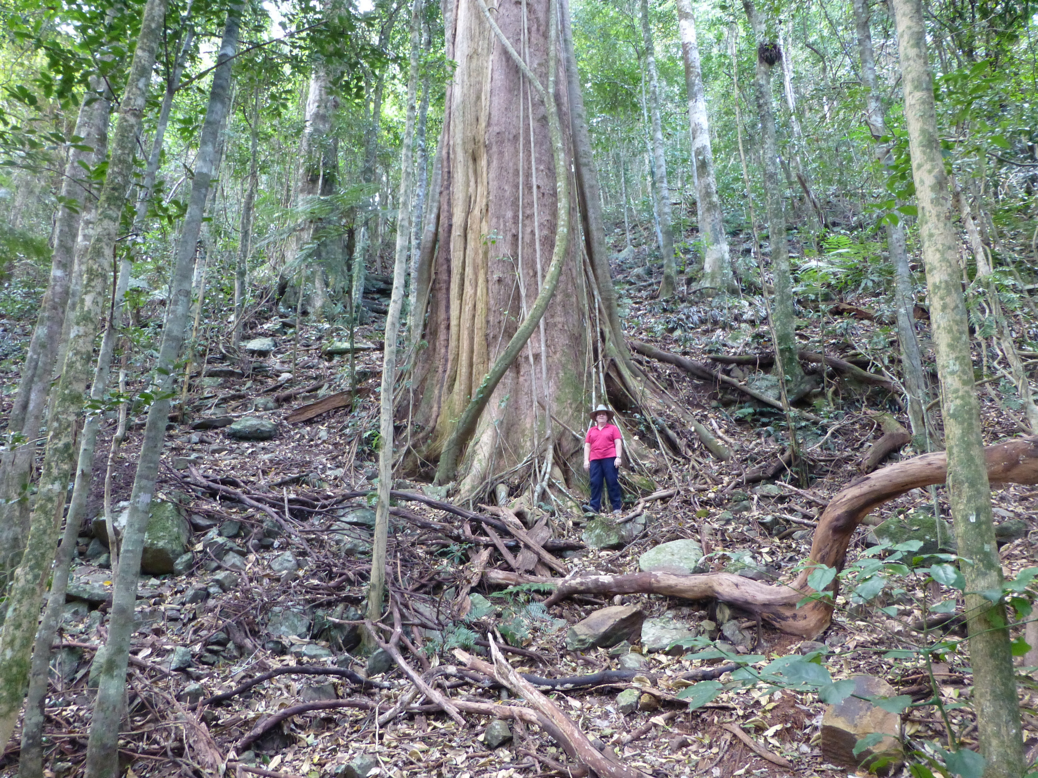 Boorganna Nature Reserve