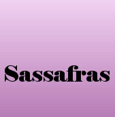 Sassafras